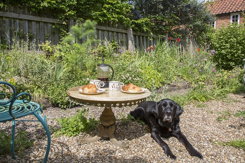 Walberswick cottages best sale dog friendly